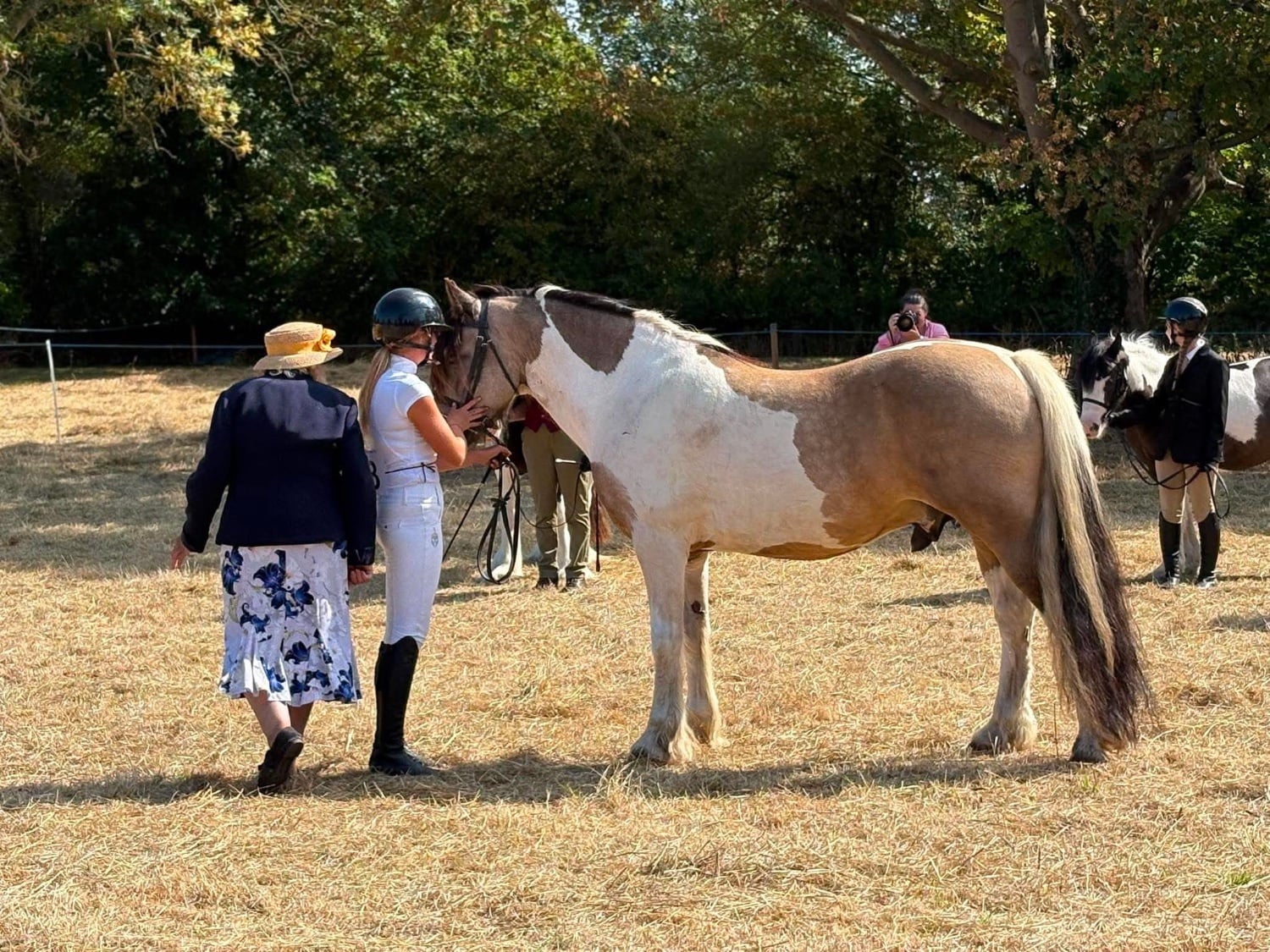 Heacham "BRYNITHON CANDY MAN aka Elvis" Tri-Coloured Gelding All Rounder