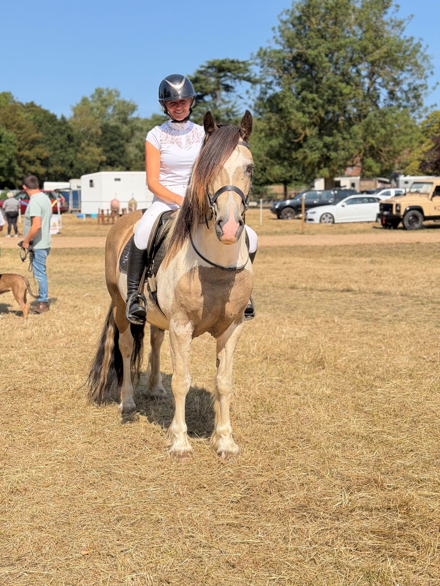"BRYNITHON CANDY MAN aka Elvis" Tri-Coloured Gelding All Rounder - Horses in Heacham