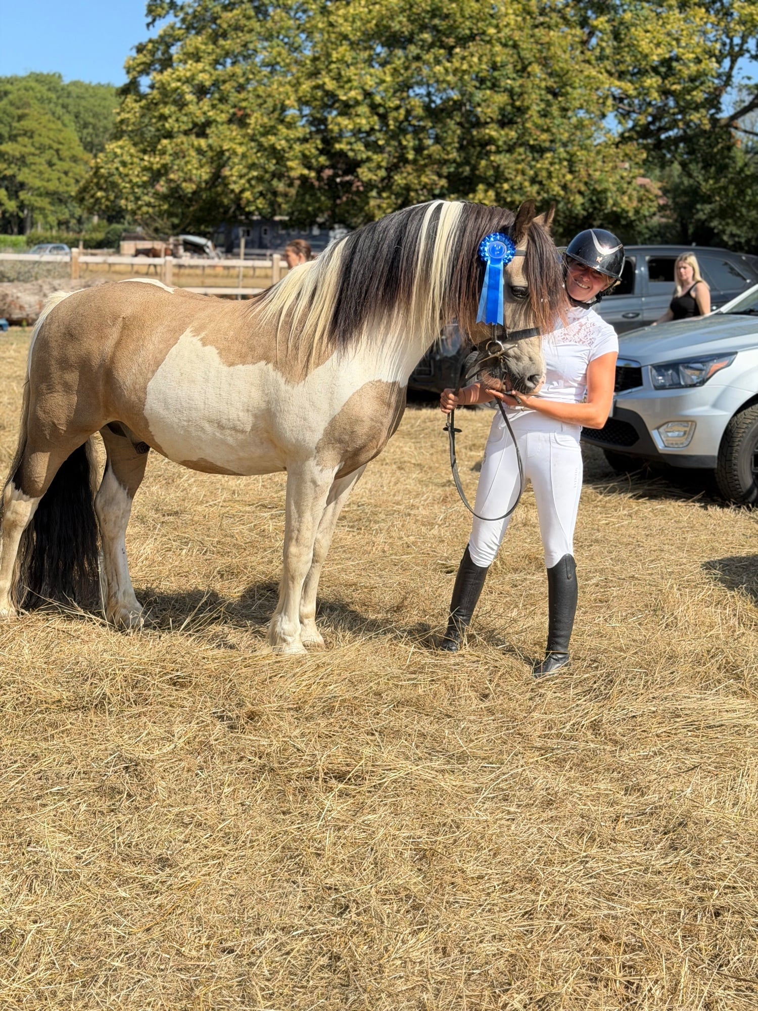 "BRYNITHON CANDY MAN aka Elvis" Tri-Coloured Gelding All Rounder - Horses
