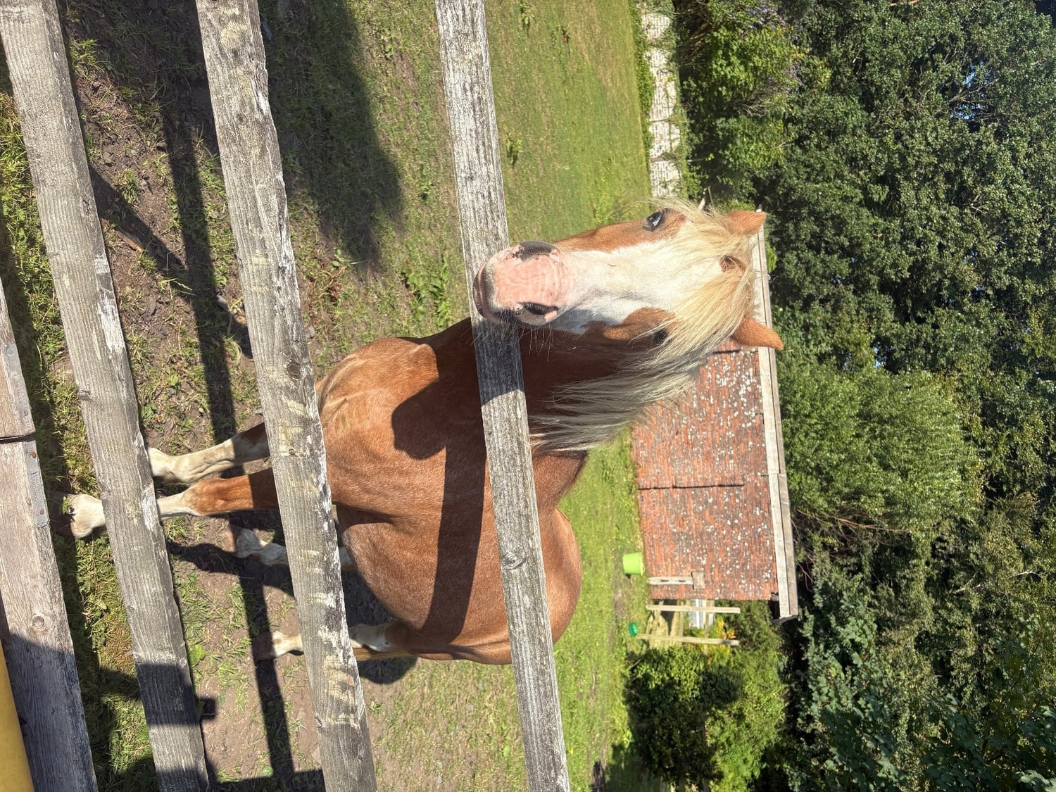 Pony for Full Loan