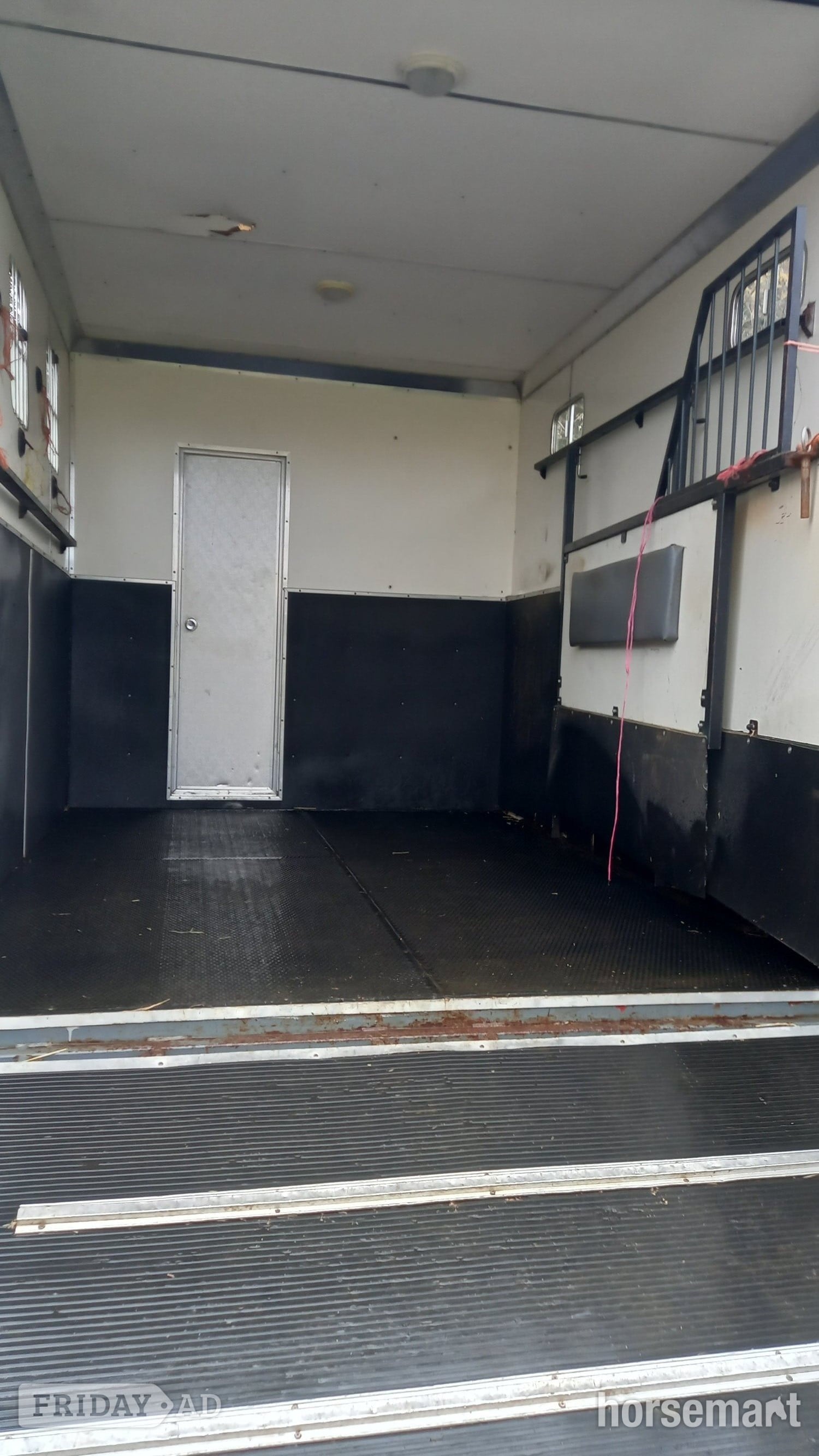 Horseboxseller  Iveco-ford Horsebox - Trailers & Horseboxes