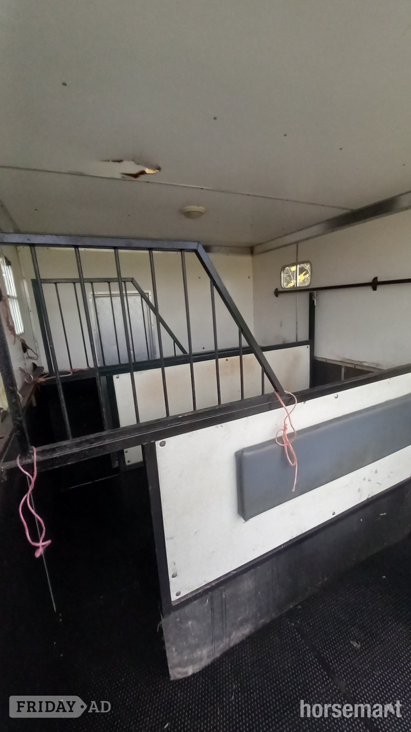 Horseboxseller  Iveco-ford Horsebox - Trailers & Horseboxes in Oakhanger