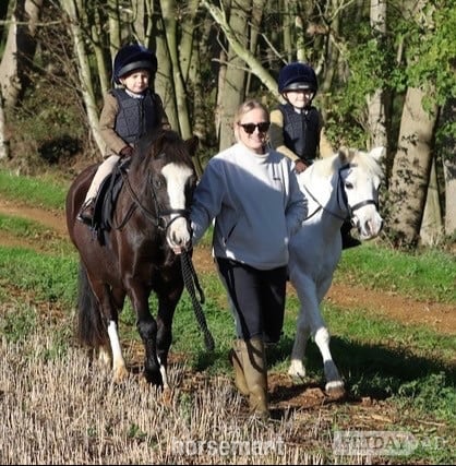 "Wolfie" Black Gelding Lead Rein/First Ridden Pony - Horses in Grimsby