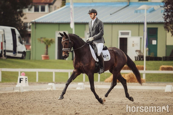 "Fürstin Fiona " Dark Bay Mare All Rounder