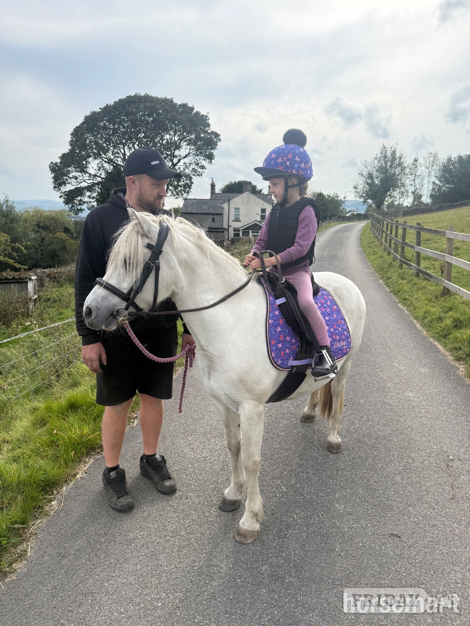 Lead Rein or Second Pony - Horses
