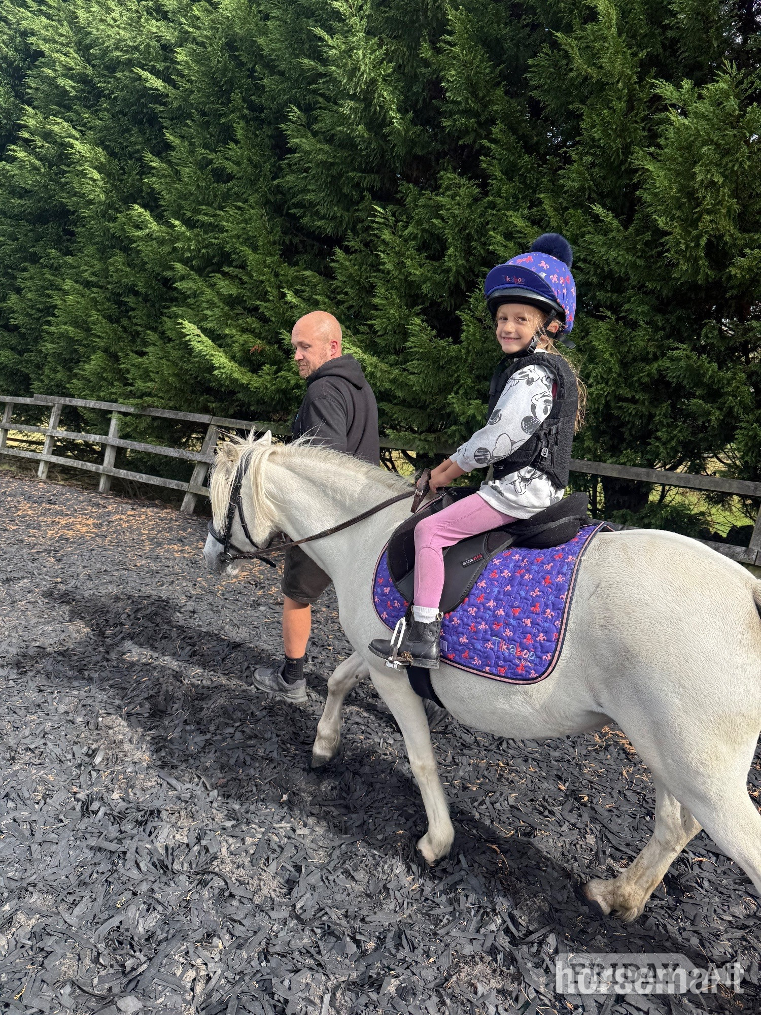 Lead Rein or Second Pony - Horses in New Mills