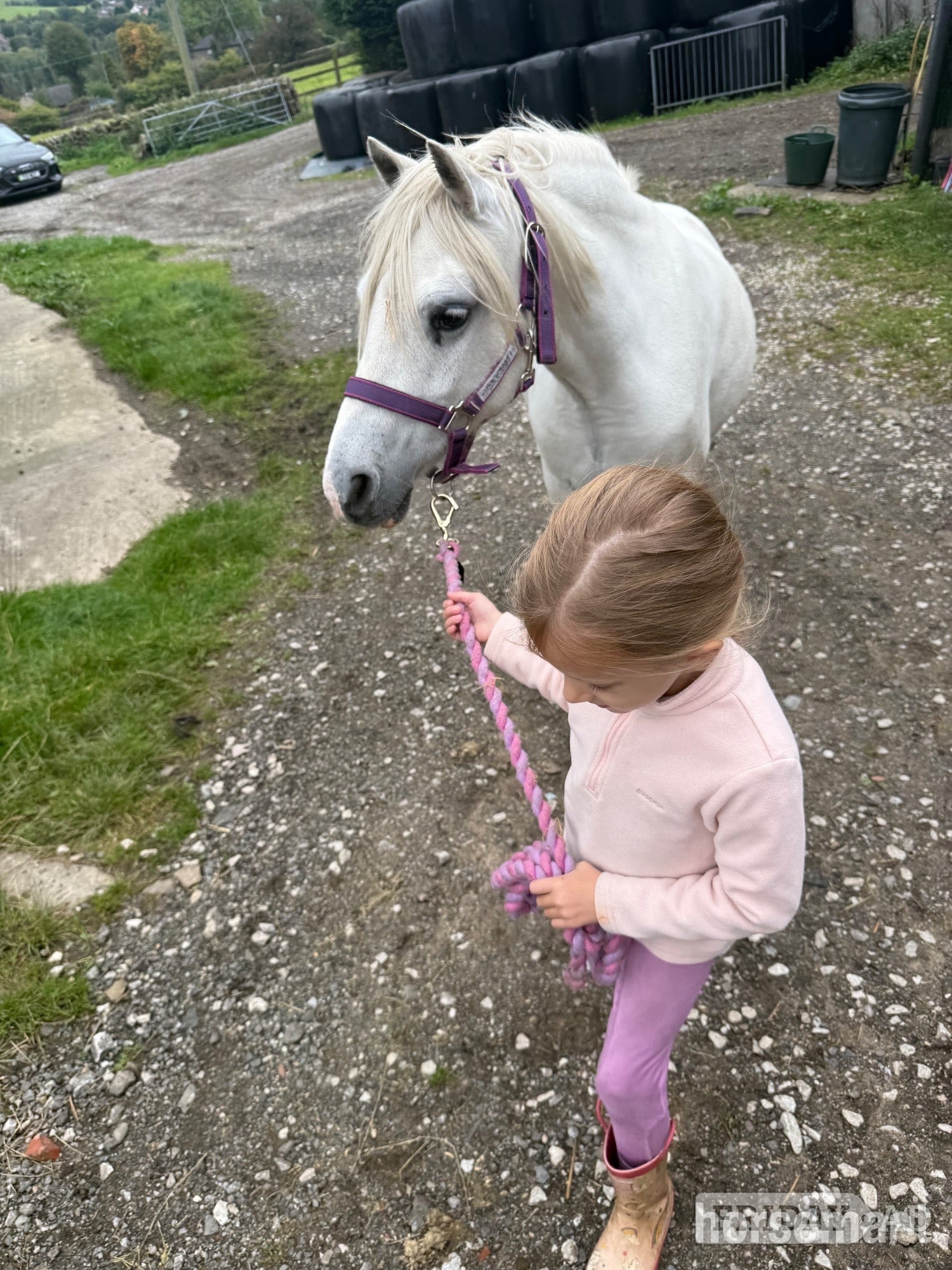 New Mills Lead Rein or Second Pony