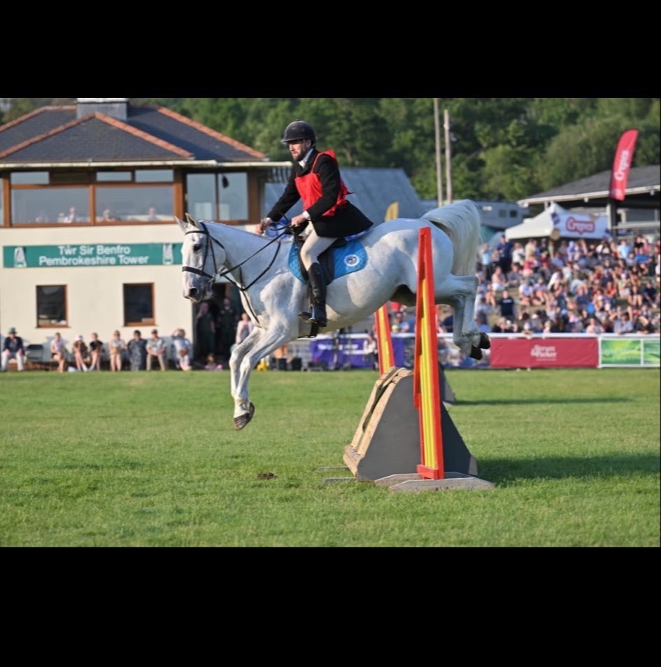 "Lilly " Grey Mare All Rounder - Horses in Llandysul