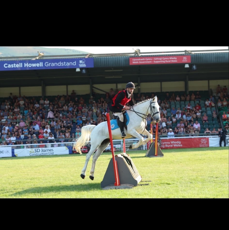 "Lilly " Grey Mare All Rounder - Horses