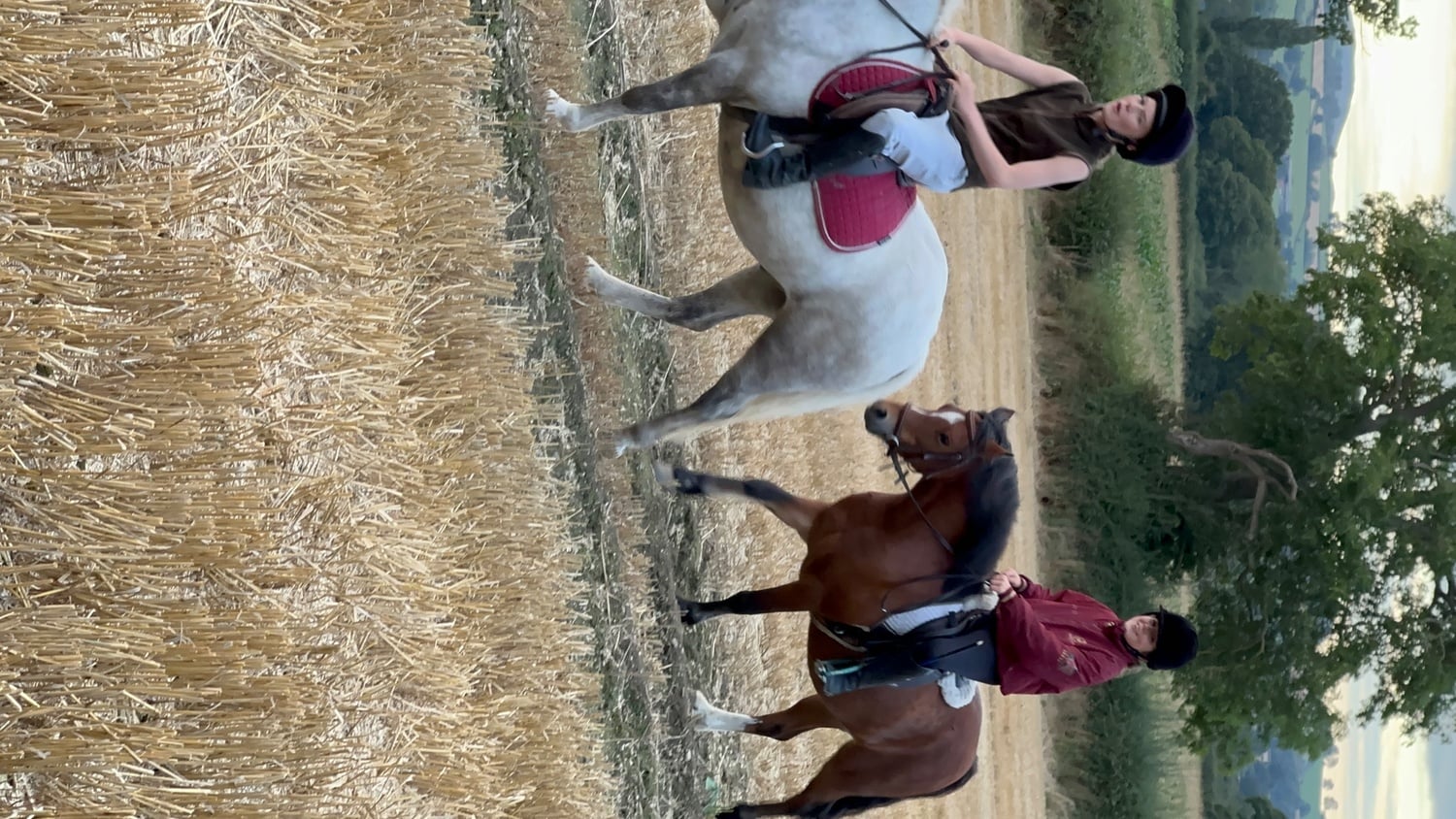 "Rusty" Bay Gelding Lead Rein/First Ridden Pony