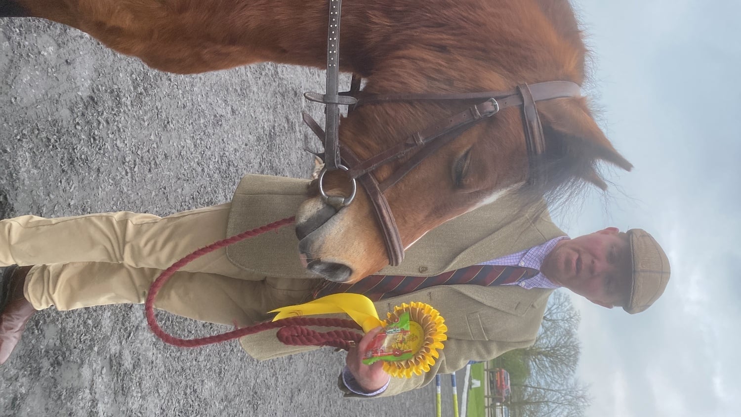 Shrewsbury "Rusty" Bay Gelding Lead Rein/First Ridden Pony