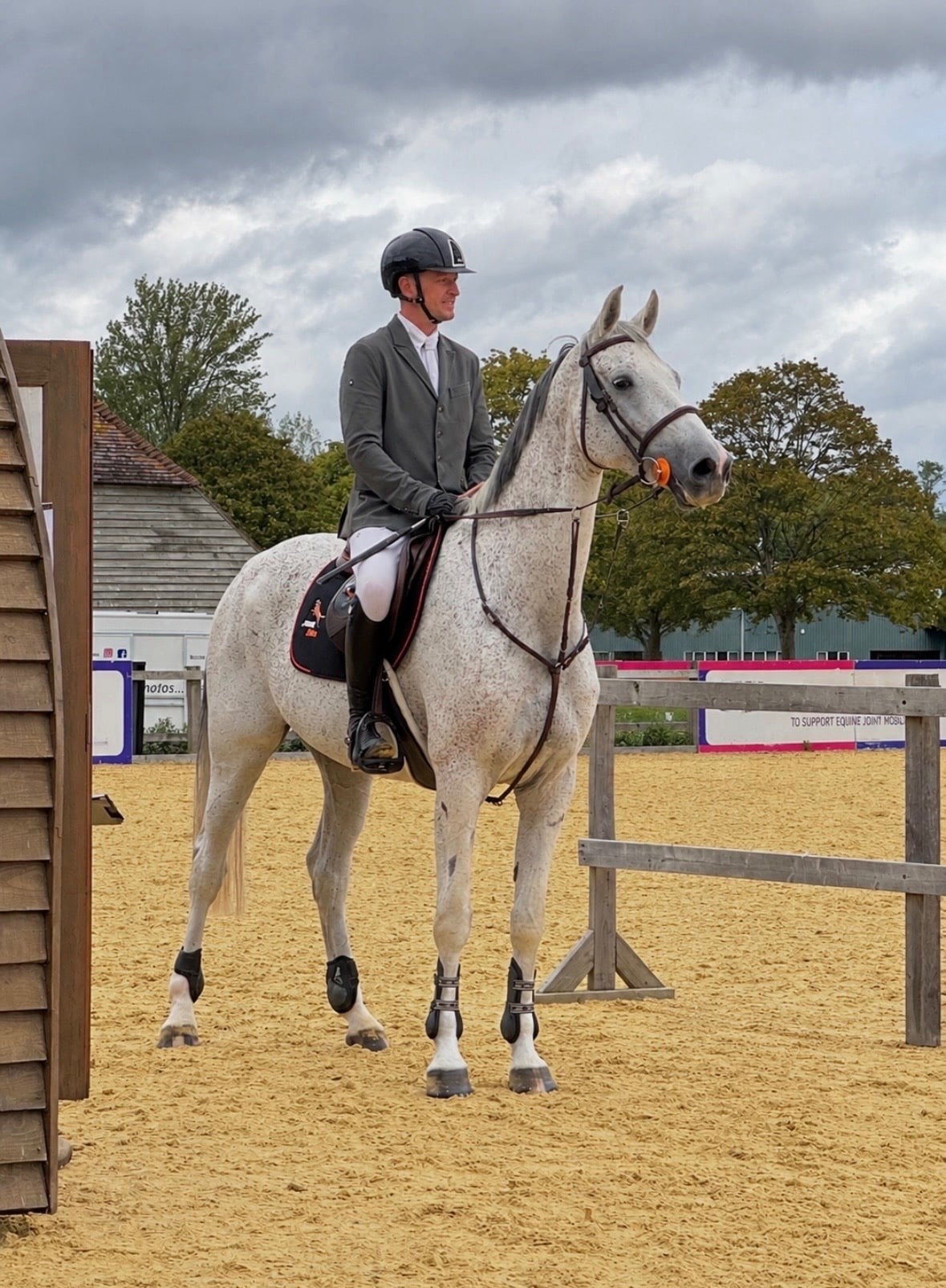 Retford "Coby" Grey Gelding Show Jumper