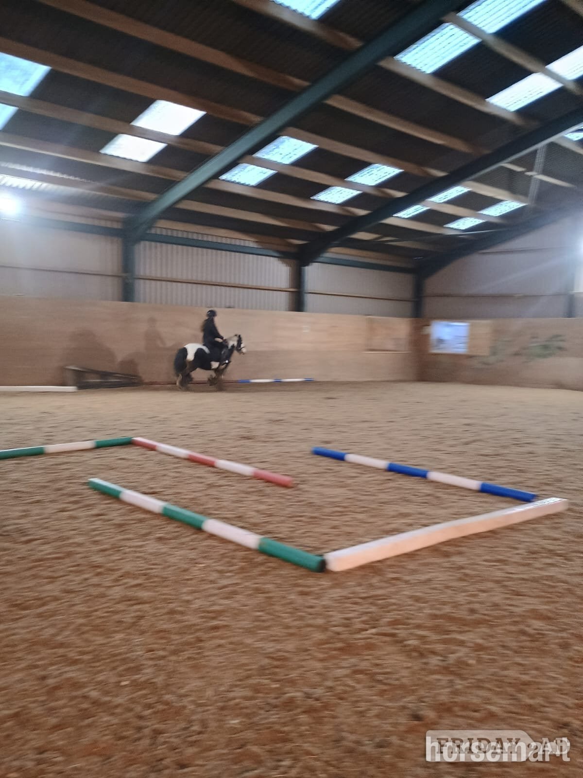 FOR SHARE: Fun &amp; Capable 12.3hh Pony (2–3 Days a Week) - Horses in Little Addington