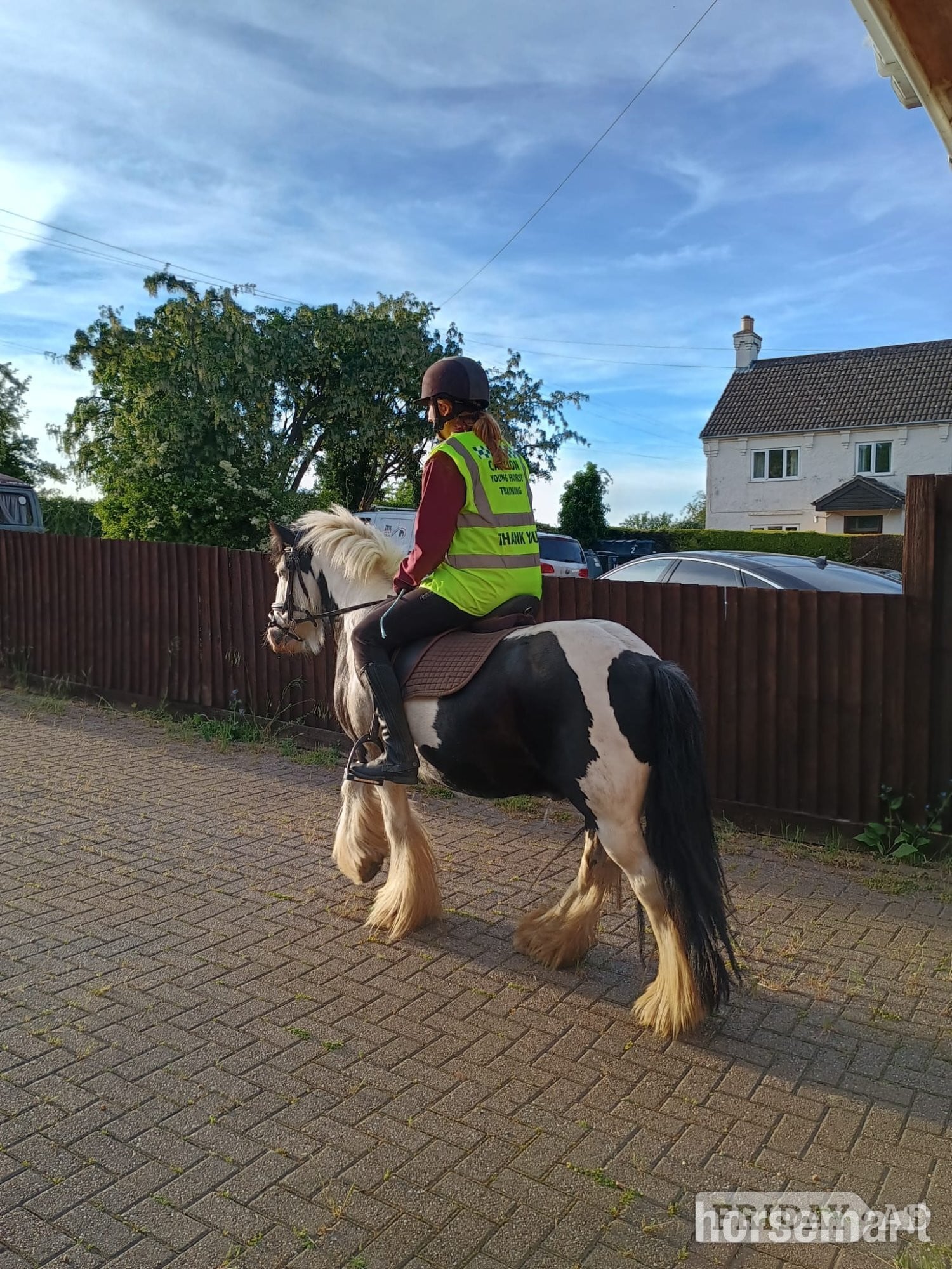 FOR SHARE: Fun &amp; Capable 12.3hh Pony (2–3 Days a Week) - Horses