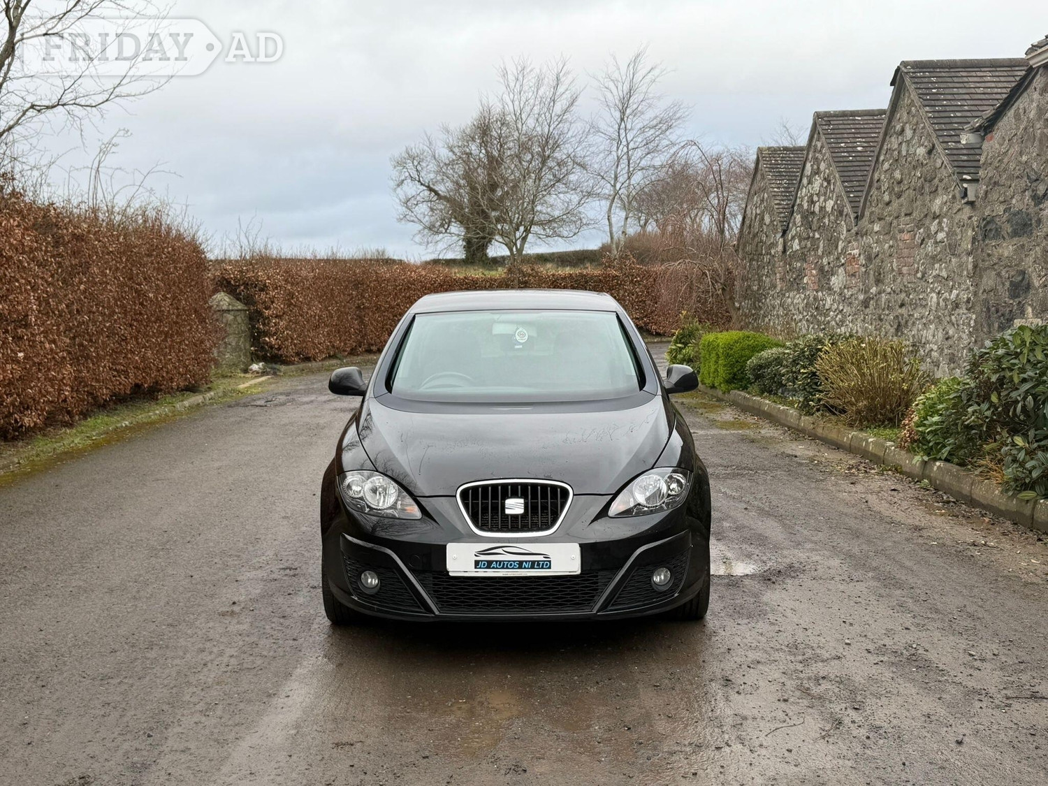 SEAT Altea Craigavon