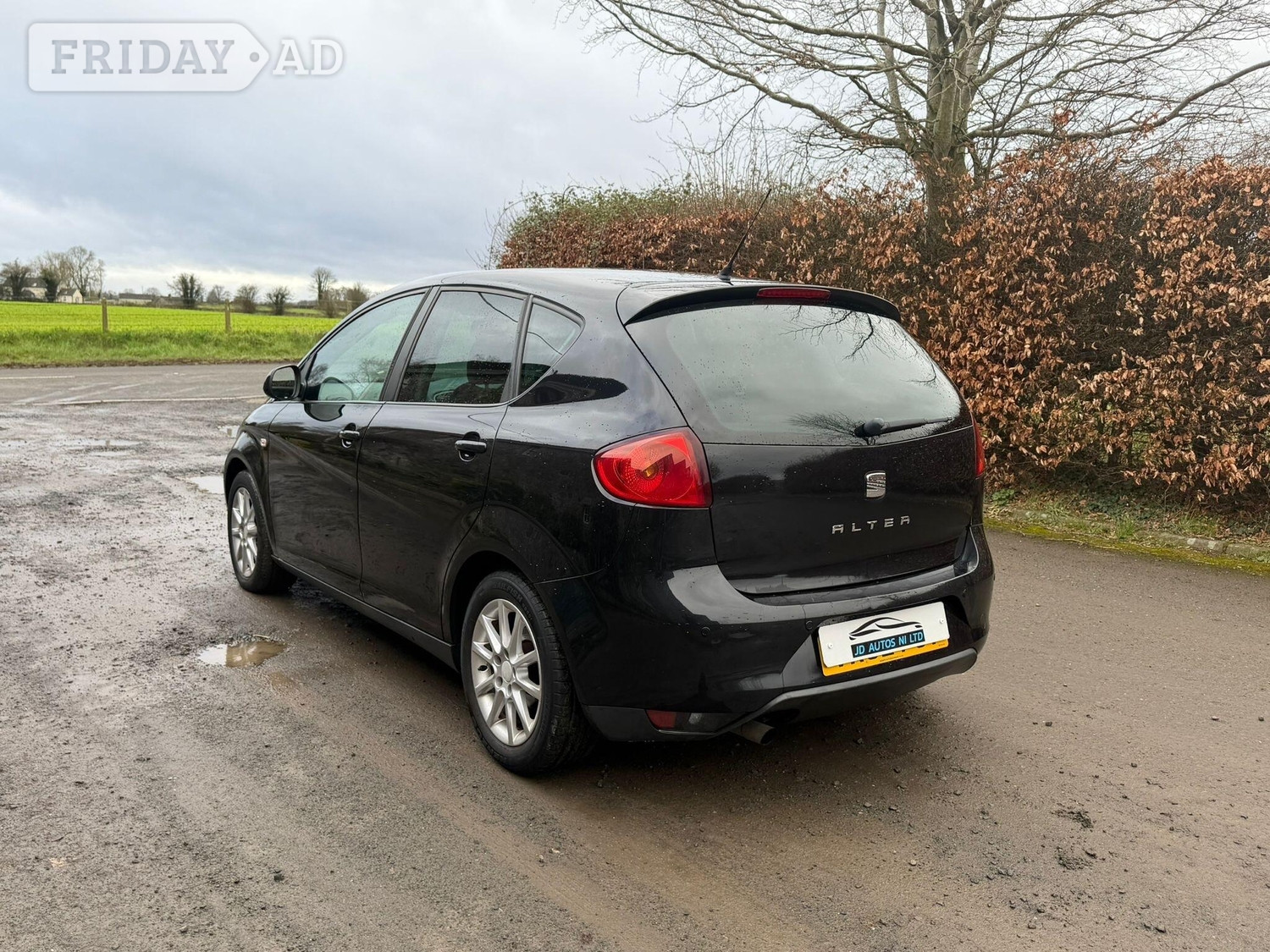 SEAT Altea 2013 - Cars in Craigavon