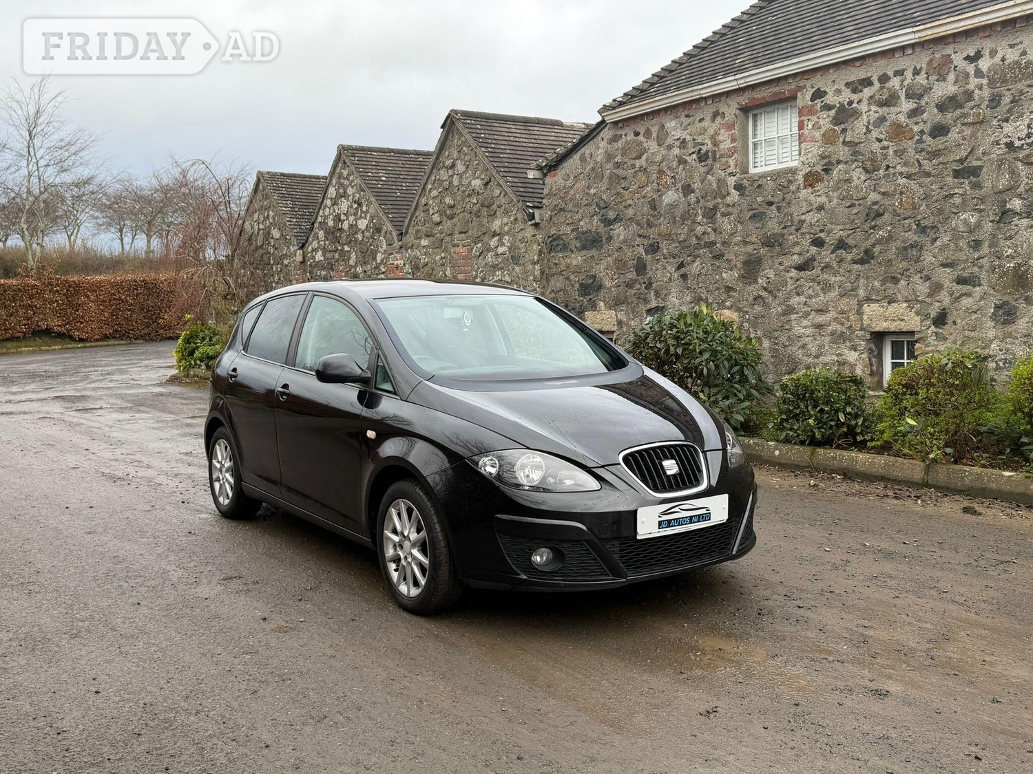 SEAT Altea 2013 in Craigavon