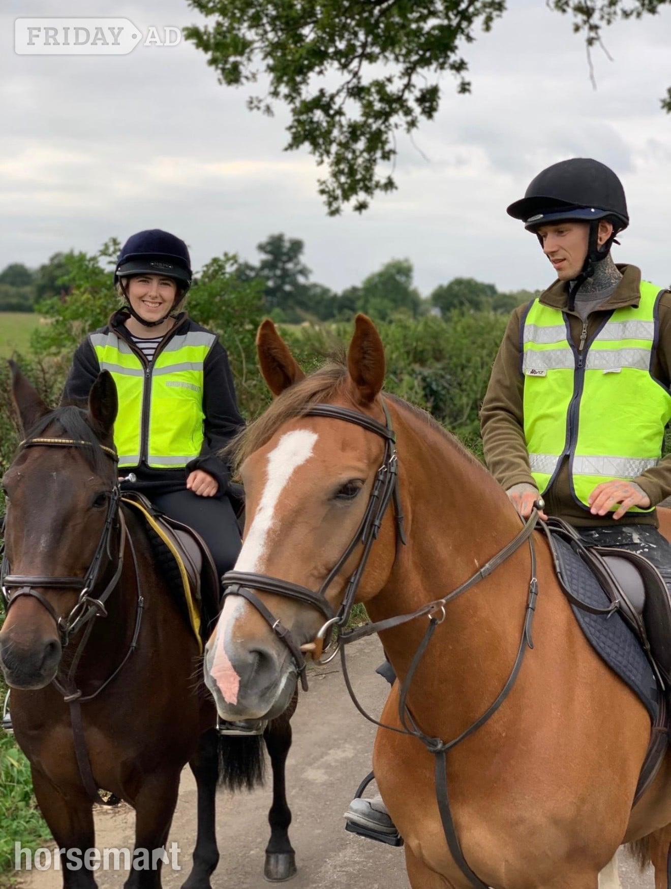 "Lambros" Chestnut Gelding All Rounder