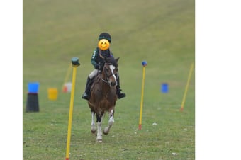 "Soldanella Firestorm (Crosby)" Bay Gelding Lead Rein/First Ridden Pony