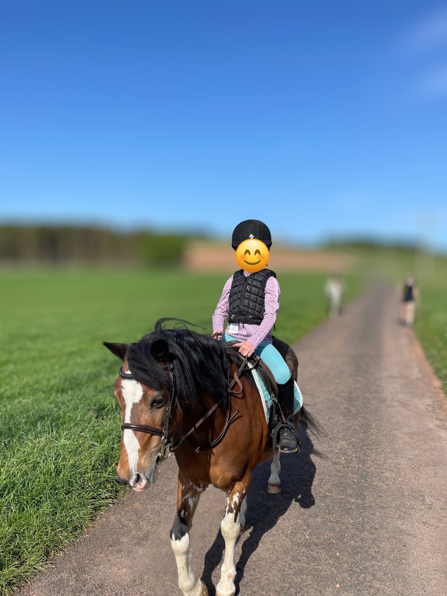 "Soldanella Firestorm (Crosby)" Bay Gelding Lead Rein/First Ridden Pony