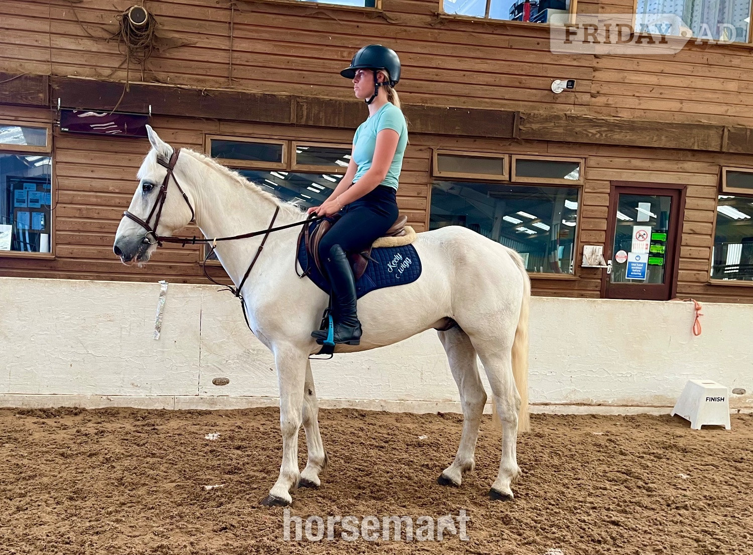 Staplehurst "Dante" Grey Gelding All Rounder
