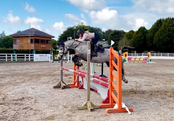 "Cleo: athletic, brave, honest, uncomplicated showjumping pony" Dapple Grey Mare Show Jumper
