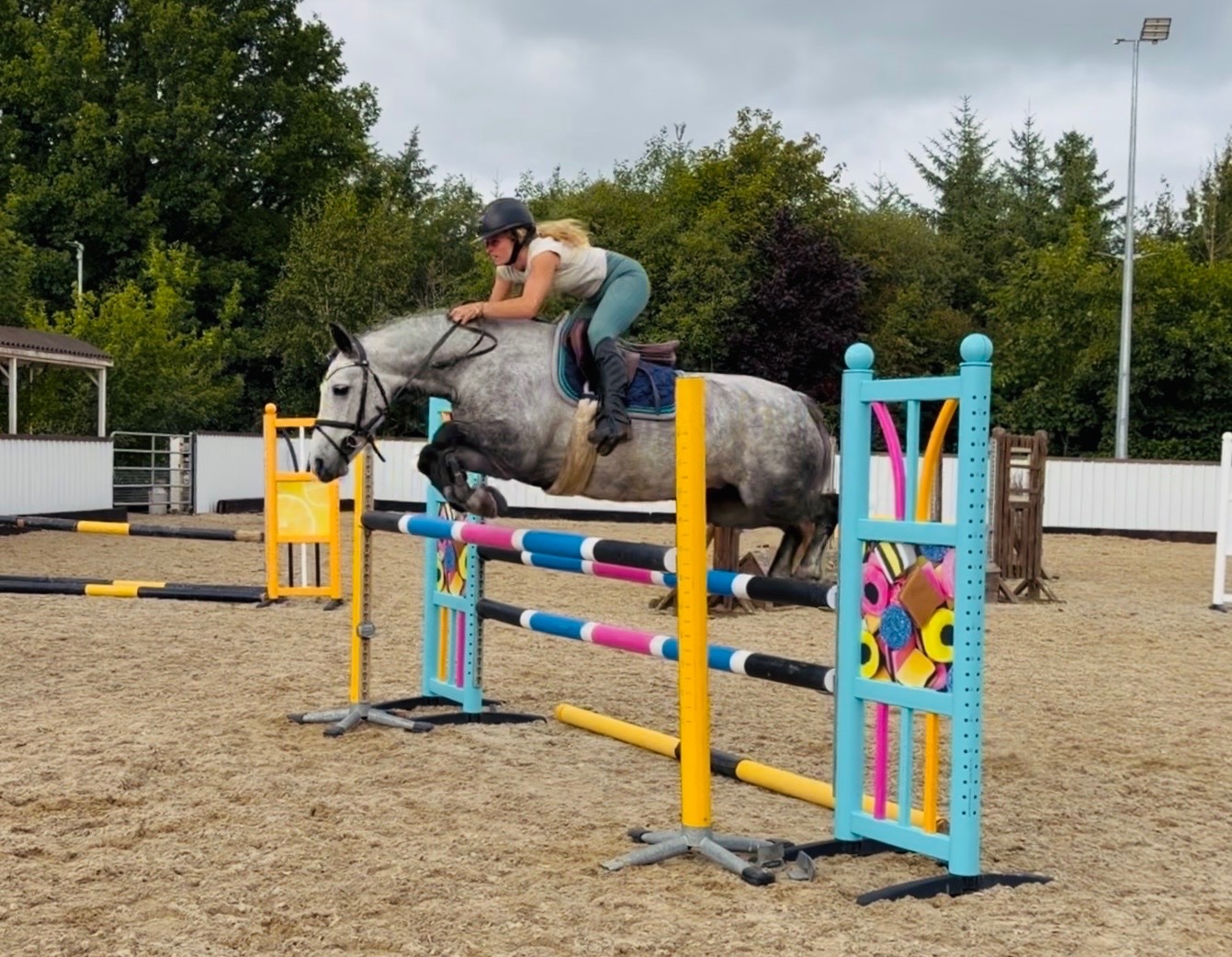 "Cleo: athletic, brave, honest, uncomplicated showjumping pony" Dapple Grey Mare Show Jumper