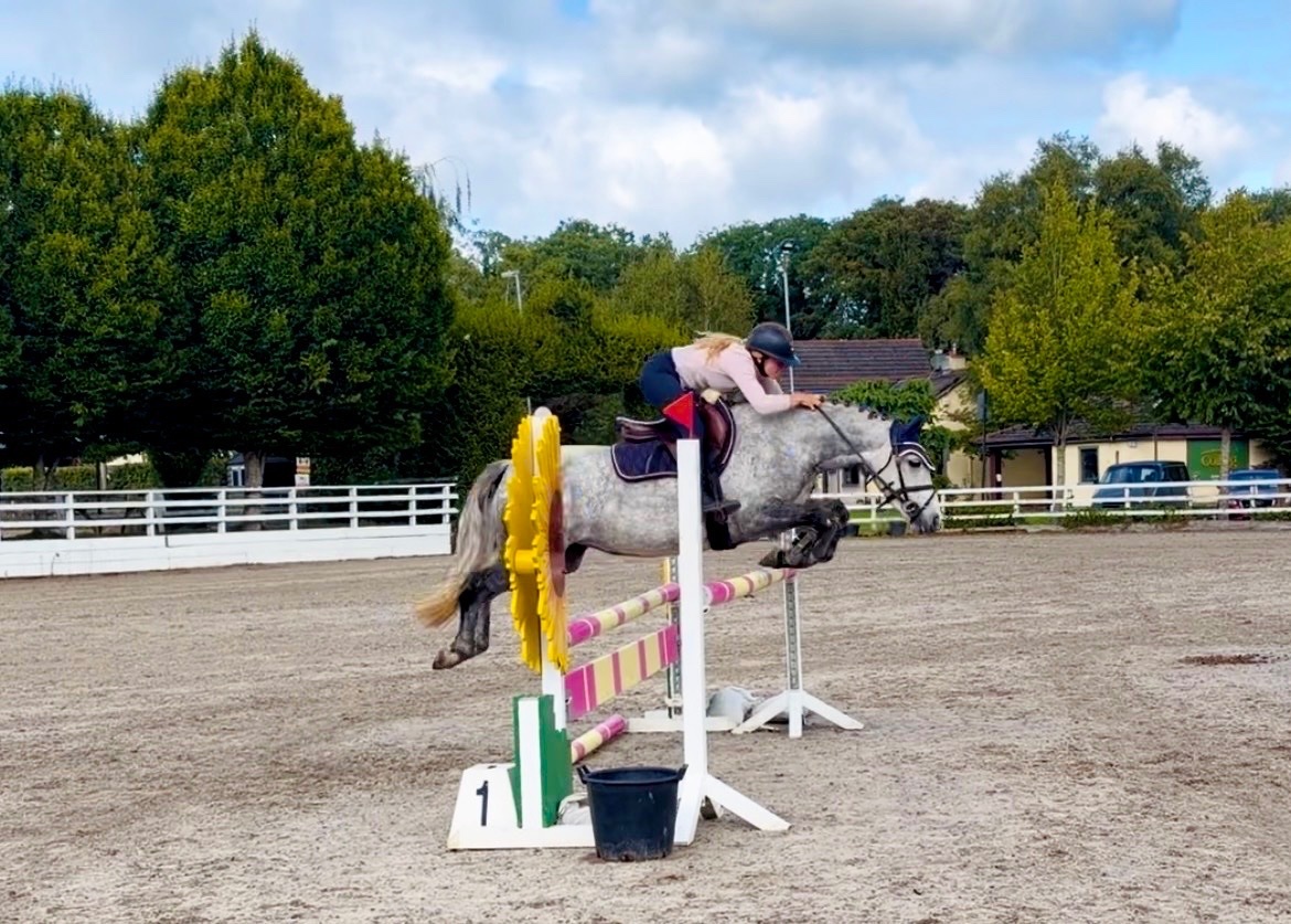 Raheen "Cleo: athletic, brave, honest, uncomplicated showjumping pony" Dapple Grey Mare Show Jumper
