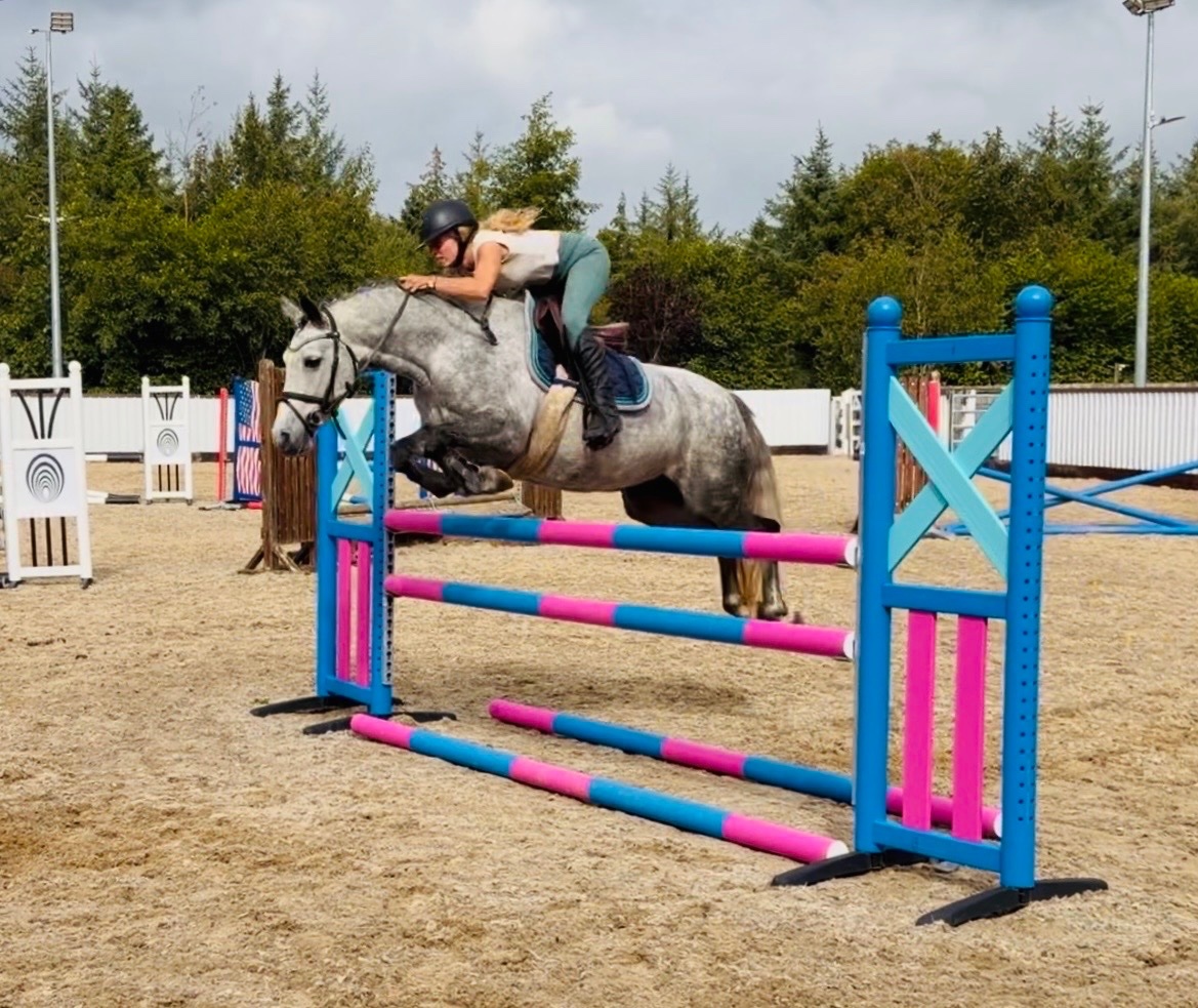 "Cleo: athletic, brave, honest, uncomplicated showjumping pony" Dapple Grey Mare Show Jumper - Horses in Raheen