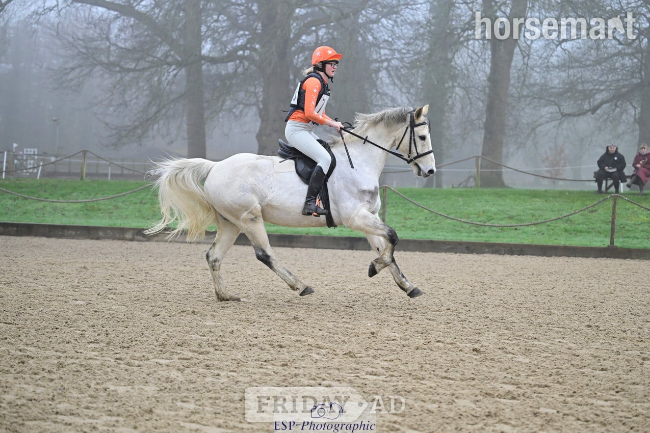 Lostwithiel "Belmus II Z" Grey Gelding All Rounder