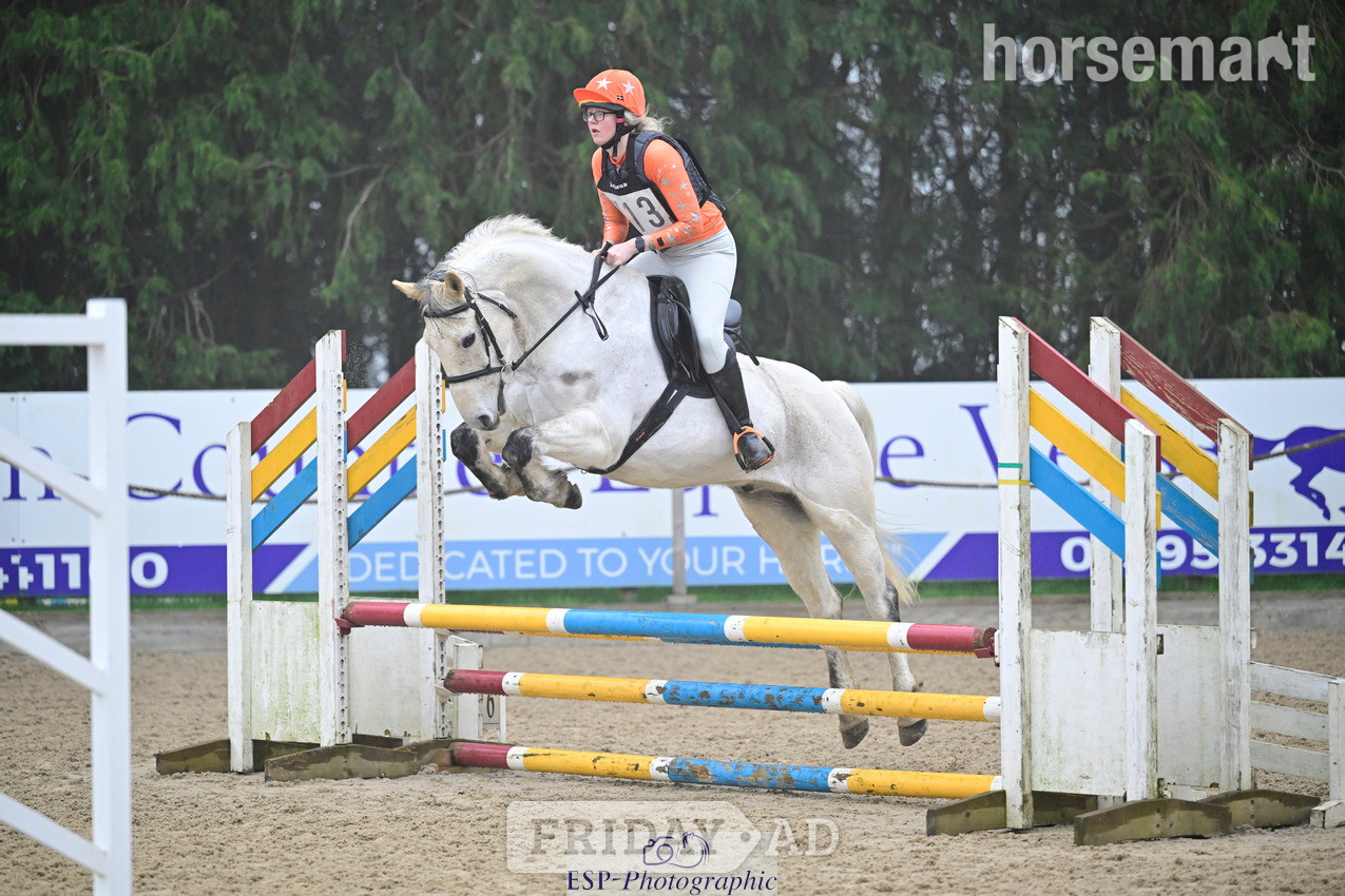 "Belmus II Z" Grey Gelding All Rounder