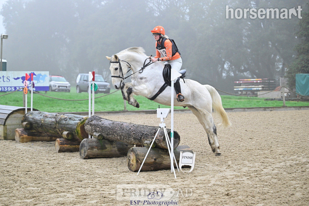 "Belmus II Z" Grey Gelding All Rounder in Lostwithiel