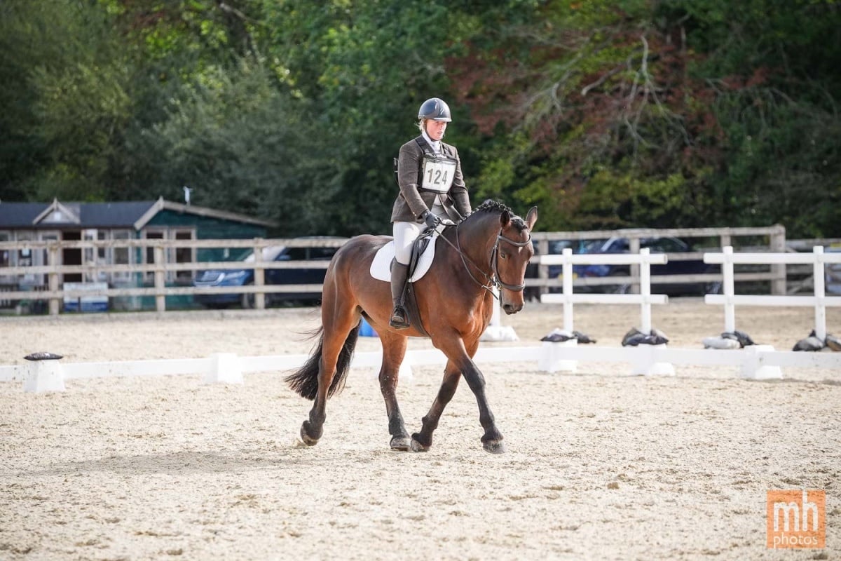 Minterne Parva "Dennis" Bay Gelding All Rounder