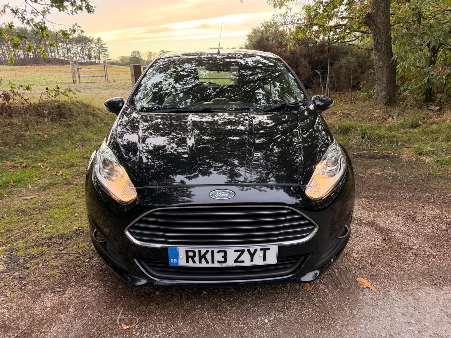 Ford Fiesta Ringwood