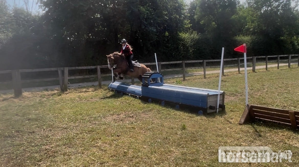 Hartlepool "Hugo" Chestnut Gelding All Rounder