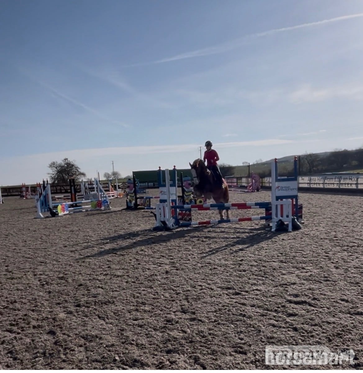 "Hugo" Chestnut Gelding All Rounder in Hartlepool