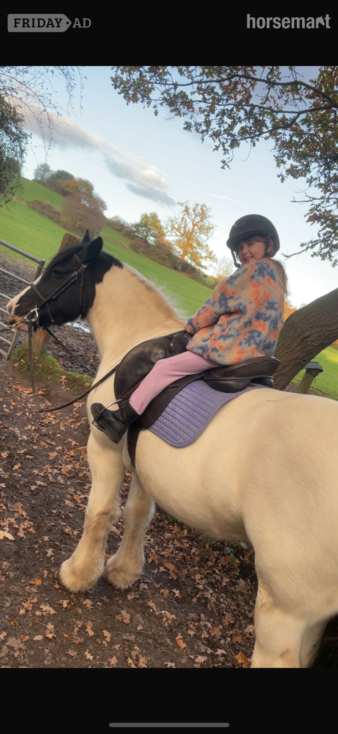 Esher Happy Hacker for full loan in view to buy