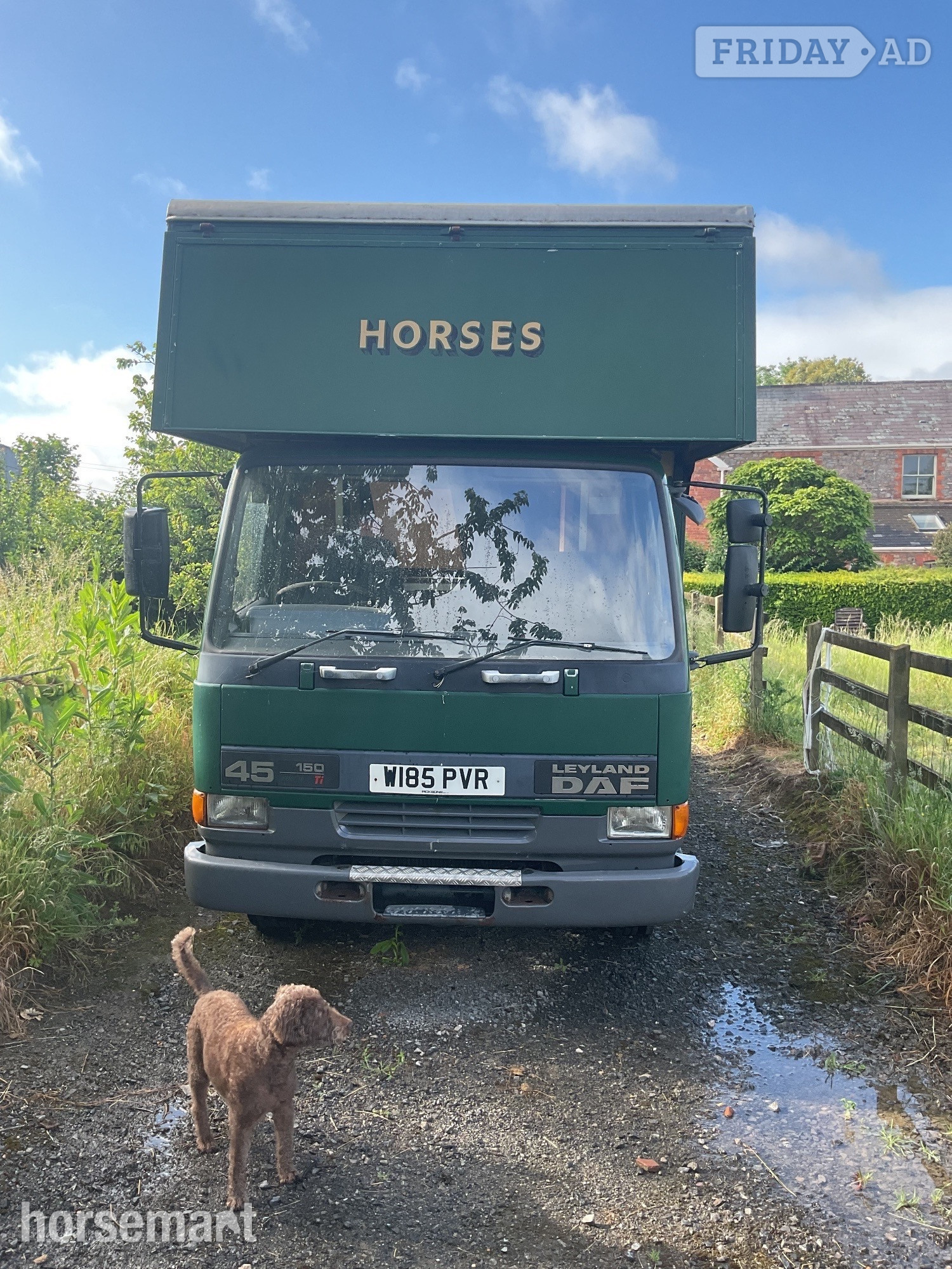 Winterbourne  Iveco Horsebox in Taunton