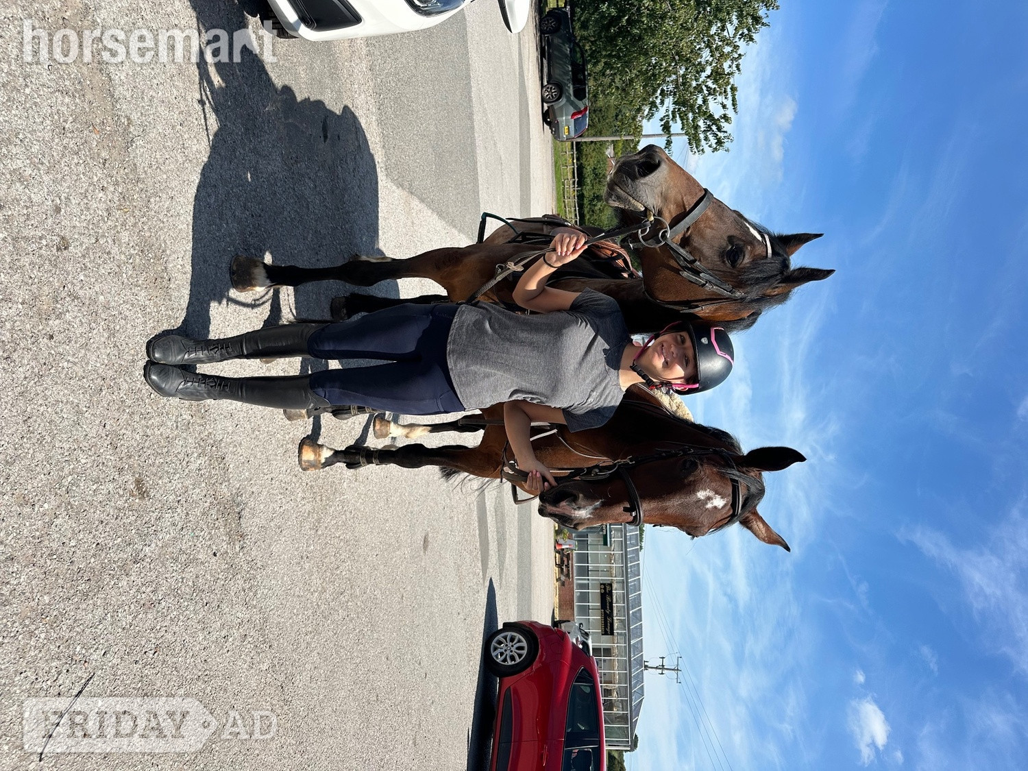 Winsford "Fabaroo" Bay Mare All Rounder