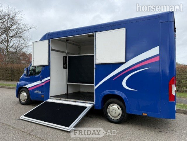 Equibabe Weekender Fiat Horsebox - Trailers & Horseboxes