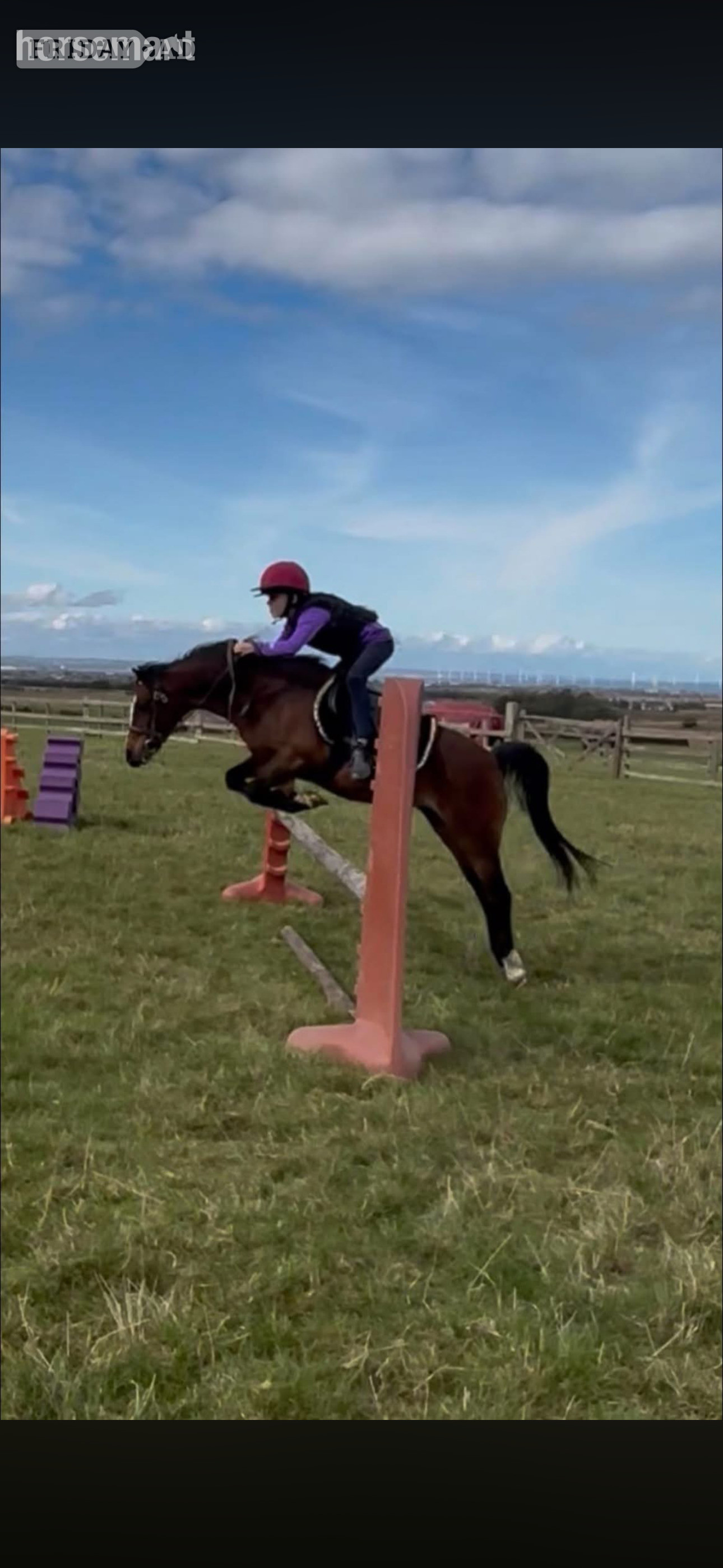 "Poppy" Bay Mare All Rounder