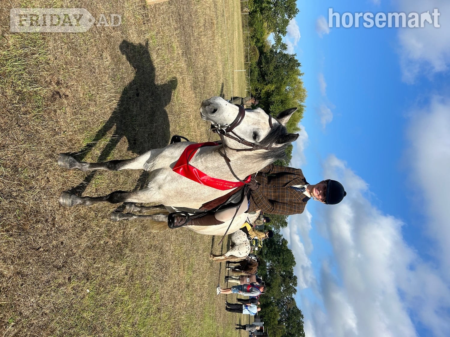 "Tia"  Mare All Rounder in Tamworth