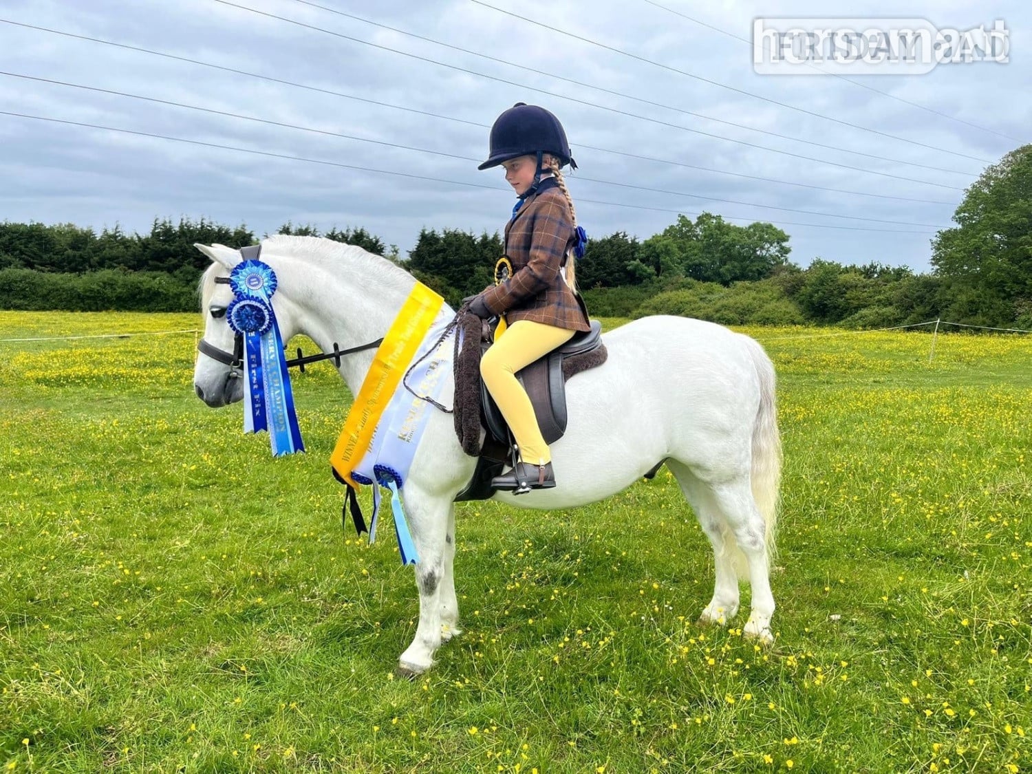 "Penech Beau Joie" Grey Gelding Lead Rein/First Ridden Pony in Wickford