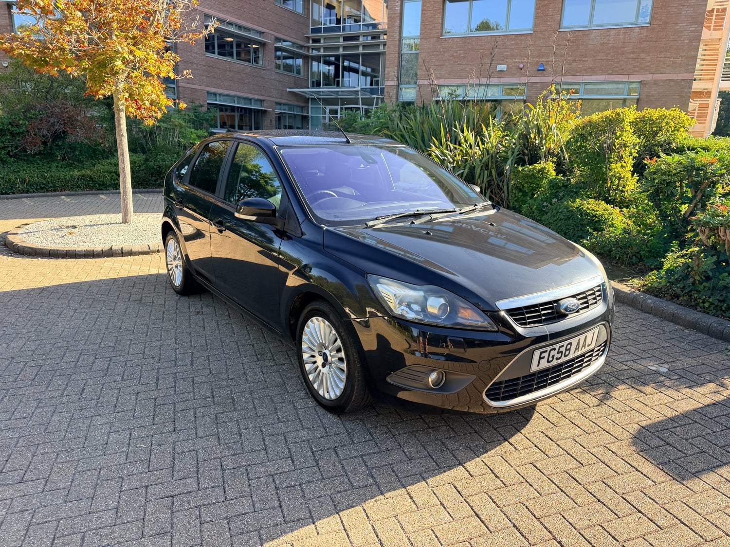 [ berth ]Ford Focus