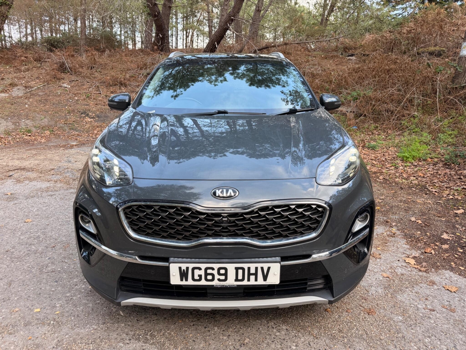 Kia Sportage Ringwood