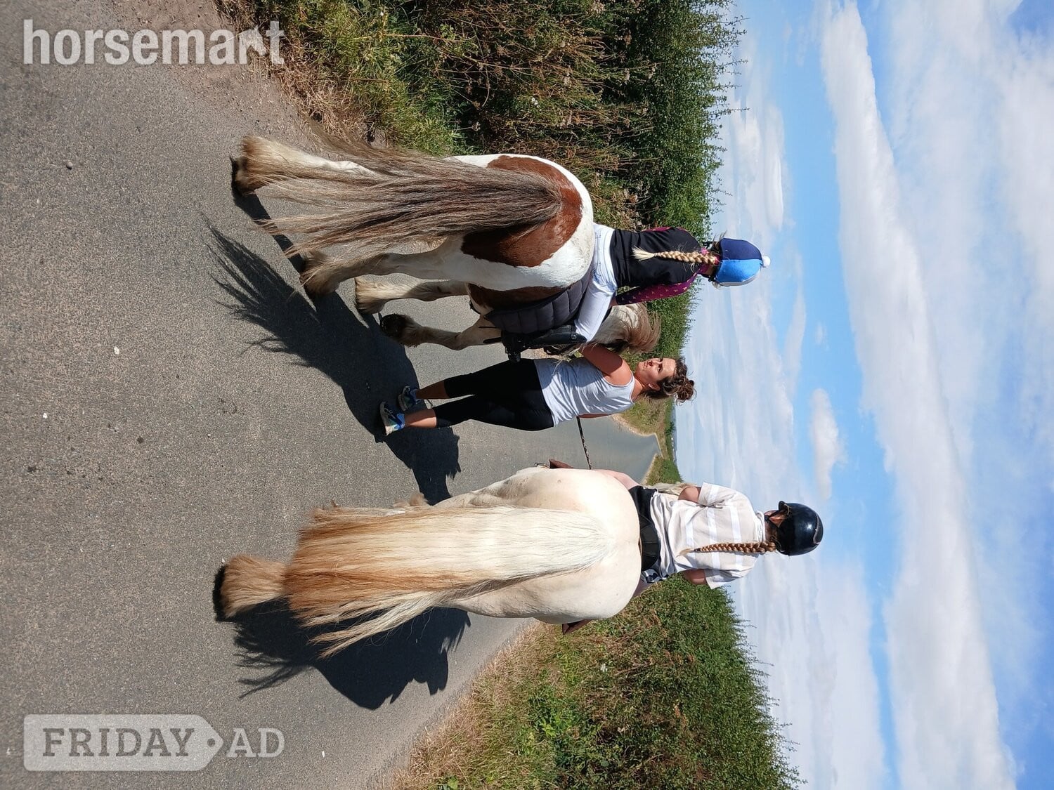 Beverley "Spirit" Skewbald Gelding All Rounder