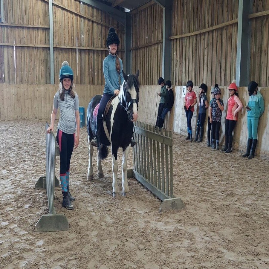 "Nelson Mandela " Piebald Gelding Pony Club Pony