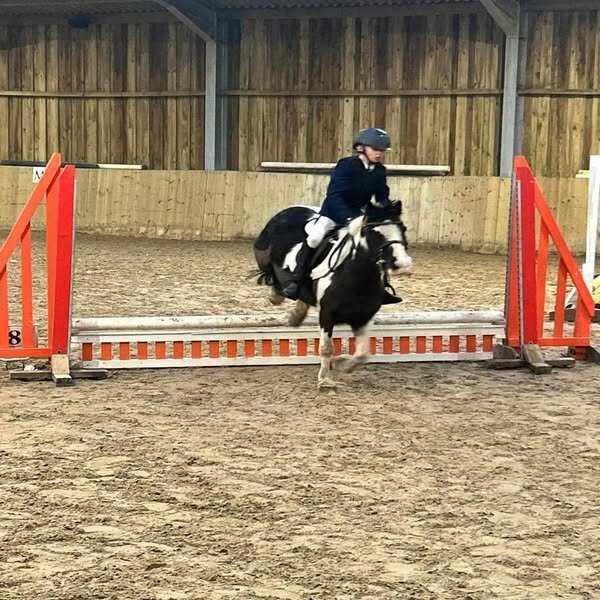 Redruth "Nelson Mandela " Piebald Gelding Pony Club Pony