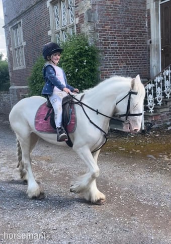 "Baby Blue Eyes" Cremello Mare Lead Rein/First Ridden Pony