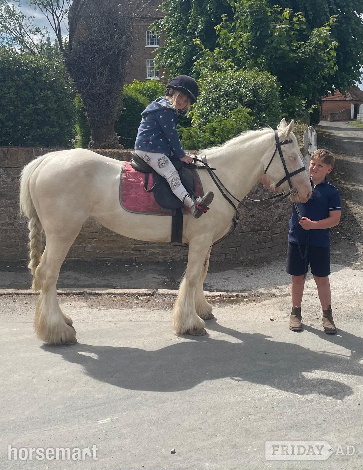 "Baby Blue Eyes" Cremello Mare Lead Rein/First Ridden Pony